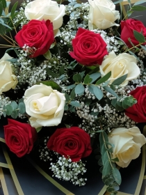 12 white and red roses bouquet